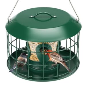 Kingsyard Tube Squirrel Proof Bird B0D2KFQW86