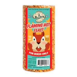 Mr. Bird Flaming Hot Feast B07CDQKN2M