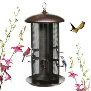 Nature's Rhythm Metal Hopper Bird B08BRHPJB9