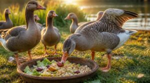 safe treats for geese safe treats for geese