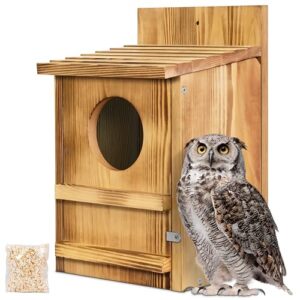 Screech Owl House, Owl Bird B0CSSL7BRM