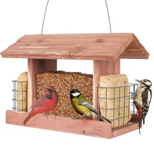 Solution4Patio US Cedar Hopper Bird B07HC3ZV89