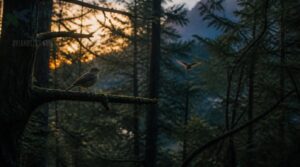 why birds change sleeping spots why birds change sleeping spots