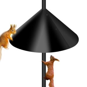 Wide Squirrel Baffle for Bird B0F1Y5PTCQ