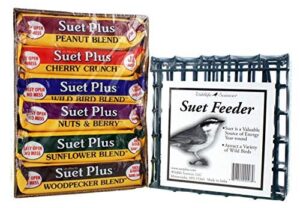 Wildlife Sciences Bird Suet Plus B07QHDR16B
