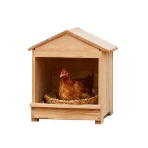 Wooden Chicken Nesting 32x29x38cm Portable B0G1GD62H4