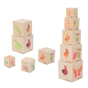 Wooden Life Cycle Nesting Blocks, B0F6CLVQ2T